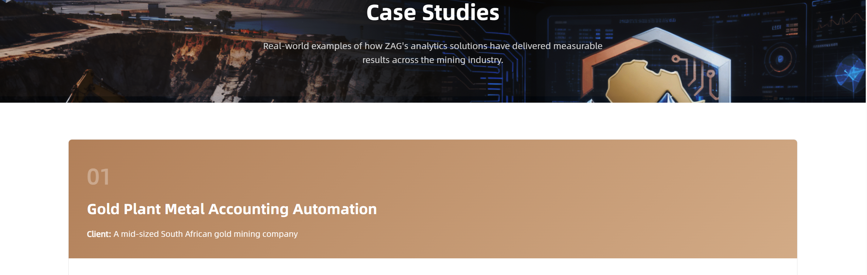Zaria Analytics Group - Case Studies