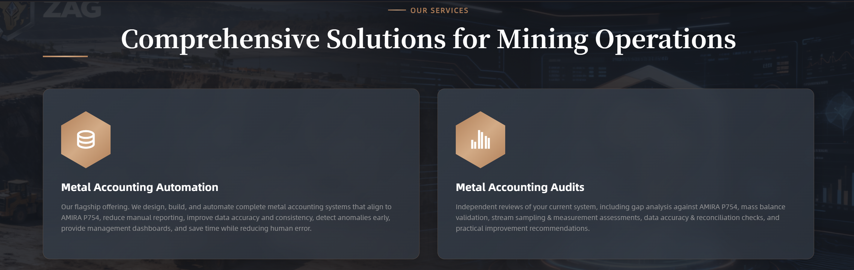 Zaria Analytics Group - Services